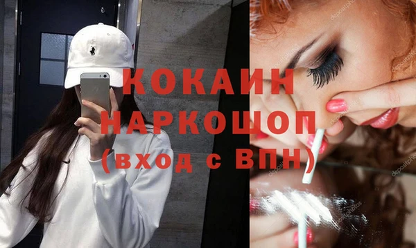 молекула духа Осинники